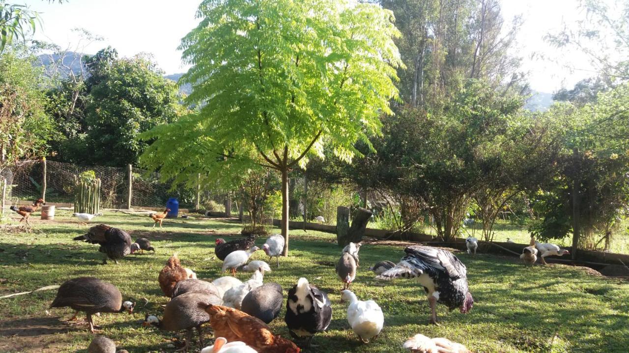 Chacara Flores Lodge Goncalves