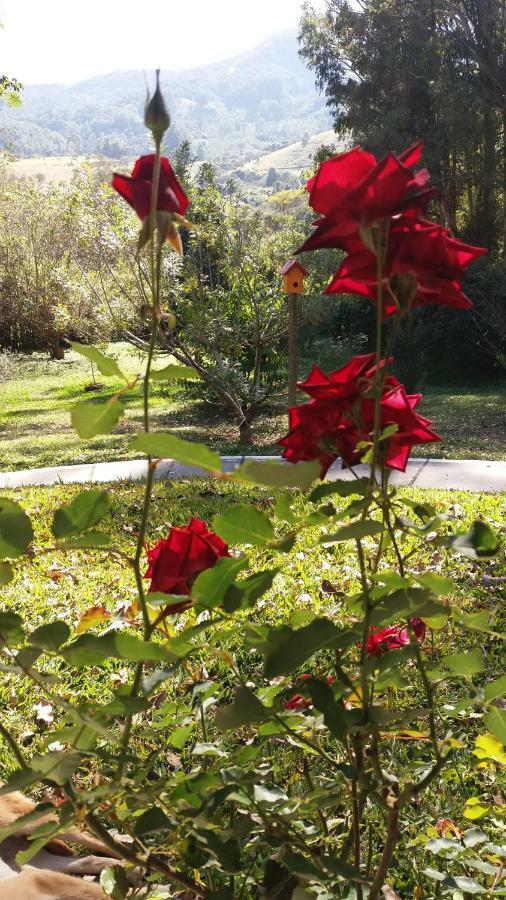 Lodge Chacara Flores Goncalves