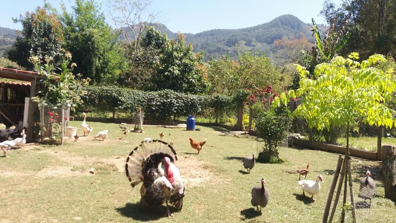Lodge Chacara Flores *